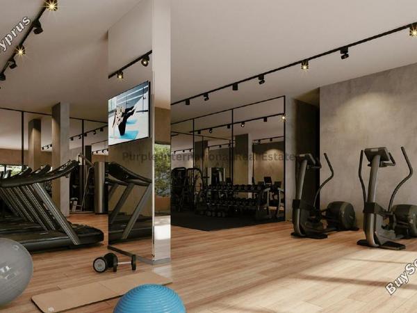 1 bedroom apartment for sale paphos municipality paphos 8785586 image 16655382