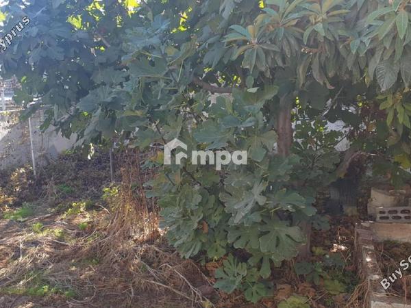3 bedroom detached house for sale chrysopolitissa larnaca 7921586 image 11219849