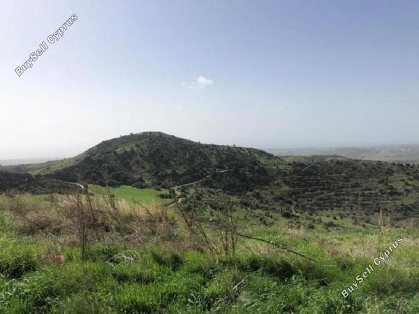 land for sale episkopi pafou paphos 8630586 image 15873767