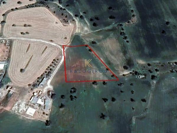 land for sale kofinou larnaca 1440586 image 5653570