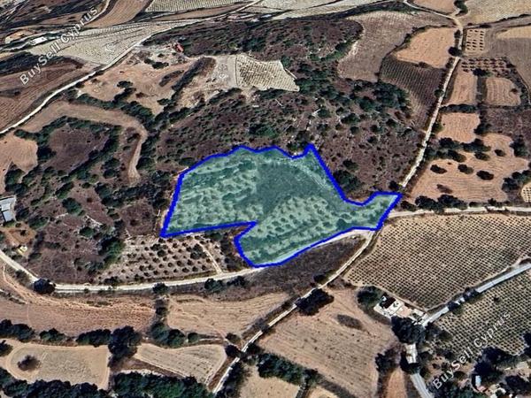 plot for sale fyti paphos 1937586 image 9238640