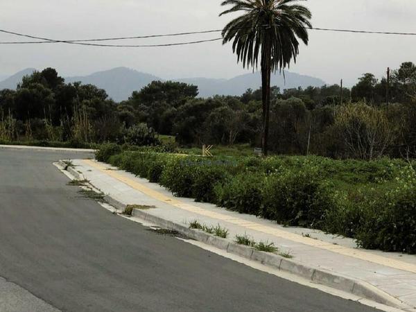 plot for sale kornos larnaca 1241586 image 5614571