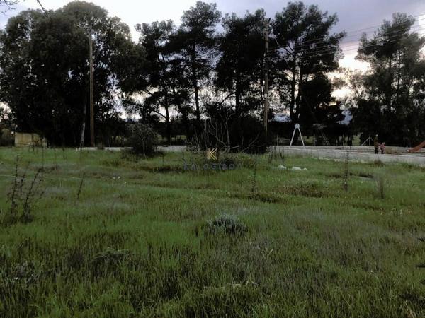 plot for sale kornos larnaca 1241586 image 5614580