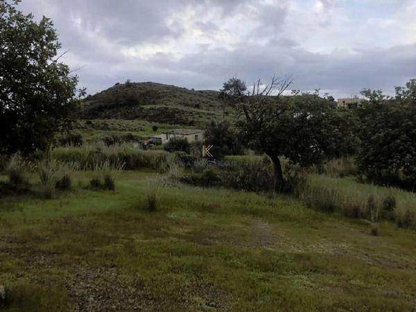plot for sale kornos larnaca 1241586 image 5614586