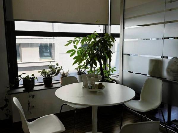 studio office for rent limassol municipality limassol 1516586 image 5653414