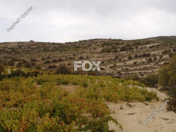 land for sale koilani limassol 1146686 image 5500925