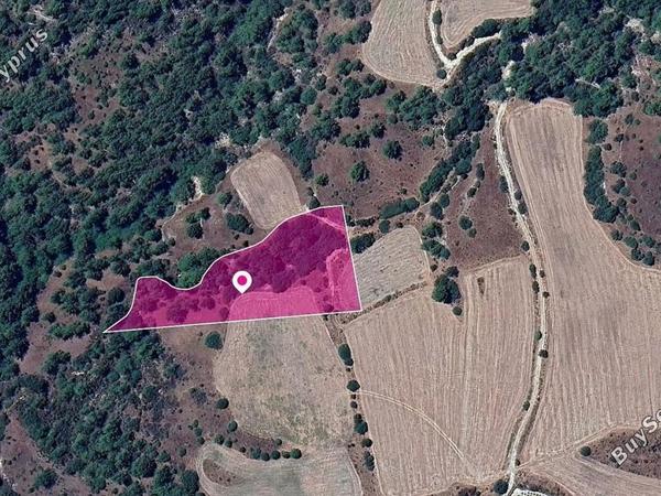 land for sale mousere paphos 8629686 image 15869546
