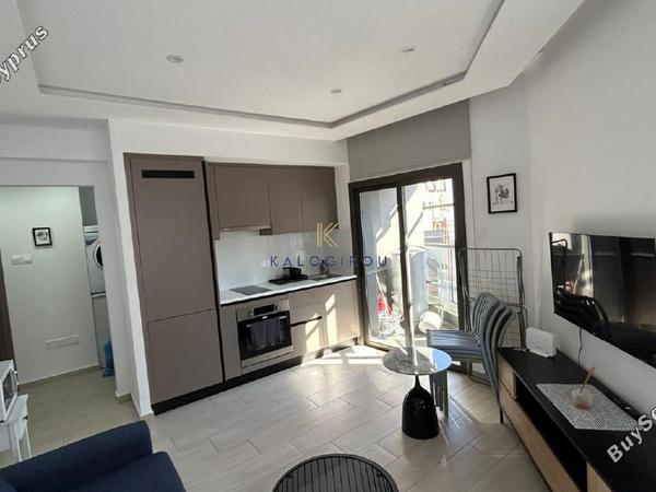 1 bedroom apartment for rent larnaca municipality larnaca 8274786 image 15193308