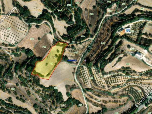 land for sale amargeti paphos 7874786 image 15642266