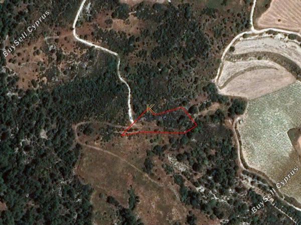 land for sale dora limassol 1194786 image 5570620