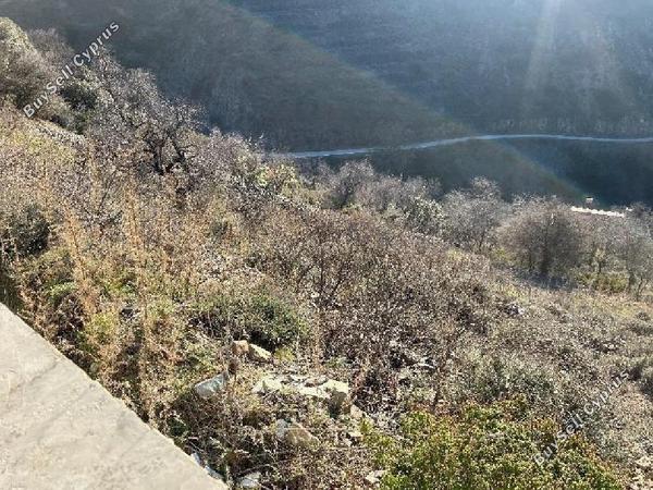 land for sale farmakas nicosia 8194786 image 13649651