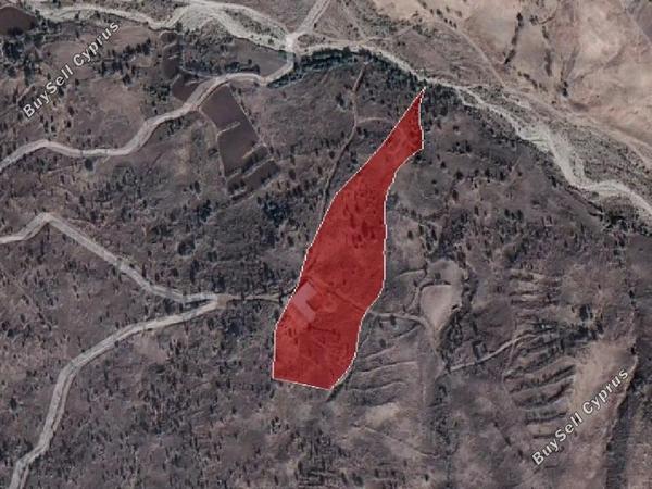 land for sale kelokedara paphos 945786 image 15600312