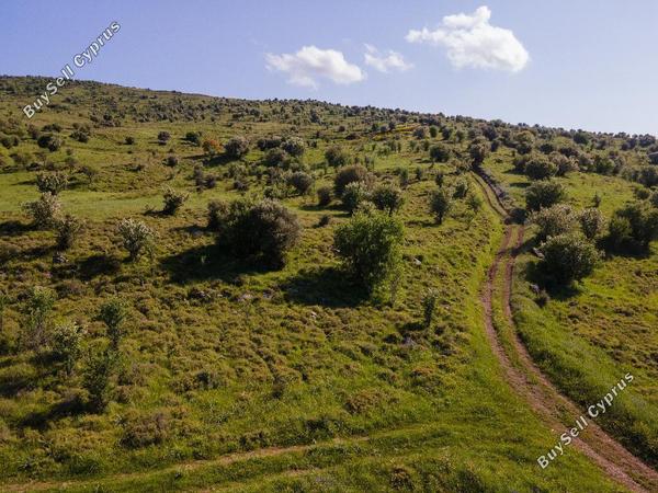 land for sale kelokedara paphos 945786 image 15600313