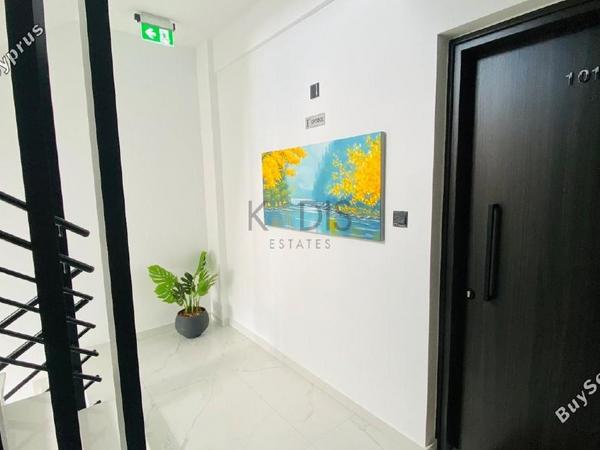 2 bedroom apartment for rent ypsonas limassol 1691886 image 17144572