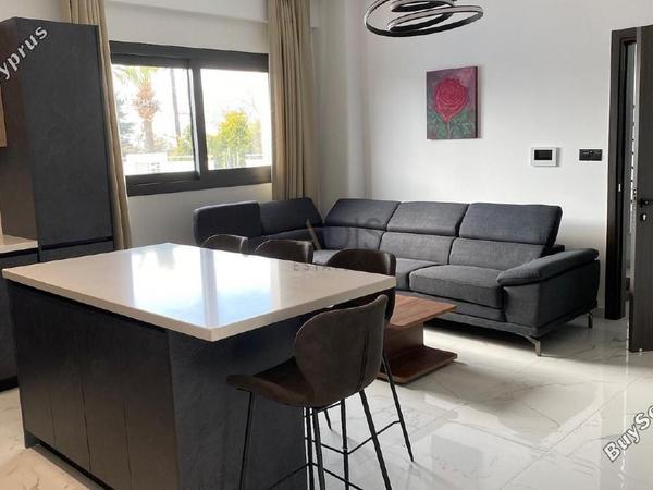 2 bedroom apartment for rent ypsonas limassol 1691886 image 17144583