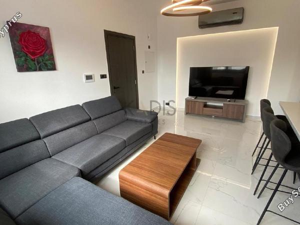 2 bedroom apartment for rent ypsonas limassol 1691886 image 17144585