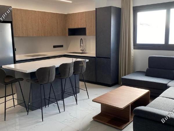 2 bedroom apartment for rent ypsonas limassol 1691886 image 17144593