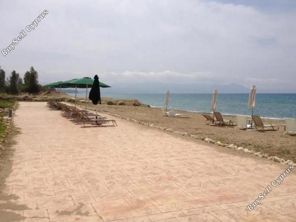 5 bedroom detached house for rent poli chrysochous paphos 8833886 image 17524383