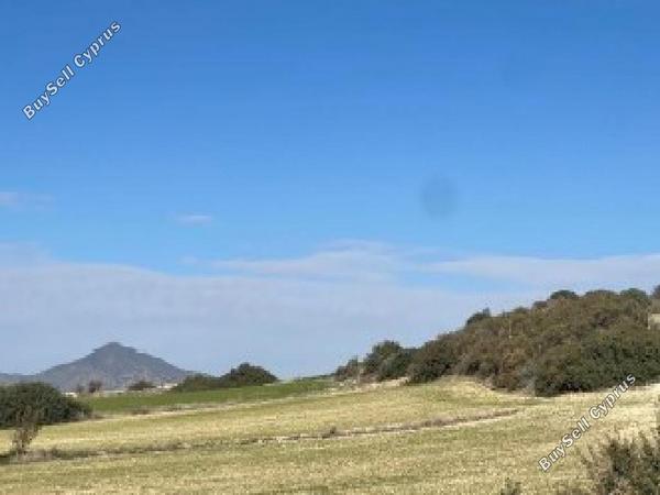 land for sale agios theodoros larnacas larnaca 7740886 image 15596743