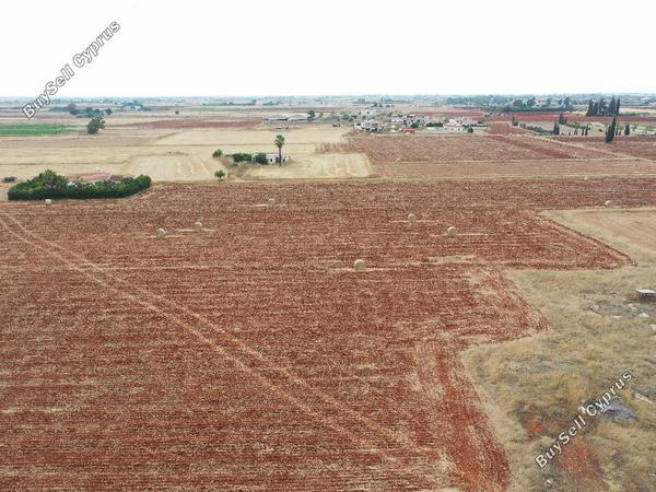 land for sale avgorou famagusta 1153886 image 15602846