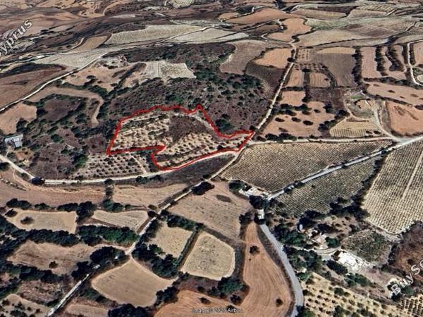 land for sale fyti paphos 7732886 image 10142313