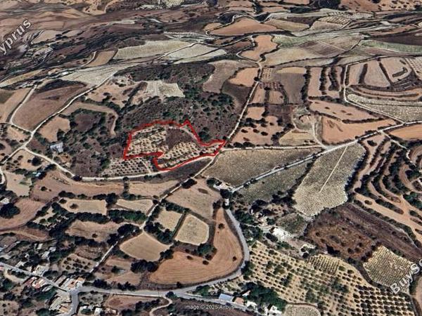 land for sale fyti paphos 7732886 image 10142314