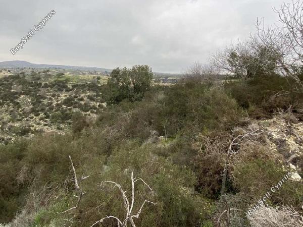land for sale peyia paphos 1800886 image 15597584