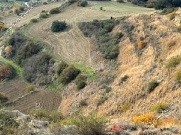 land for sale skoulli paphos 945886 image 17159029