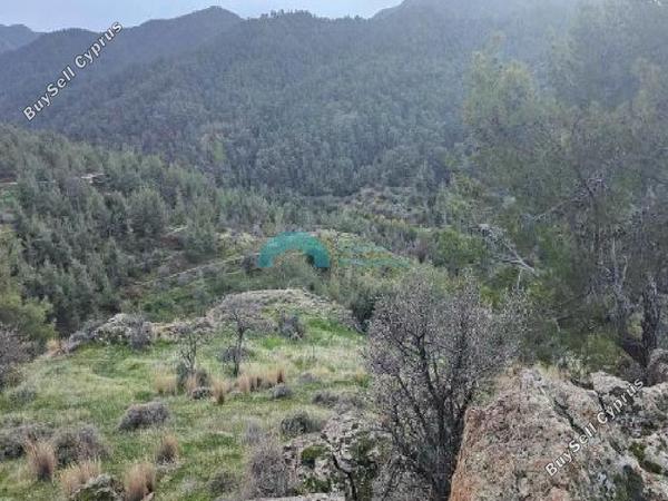 land for sale xyliatos nicosia 1882886 image 7031132
