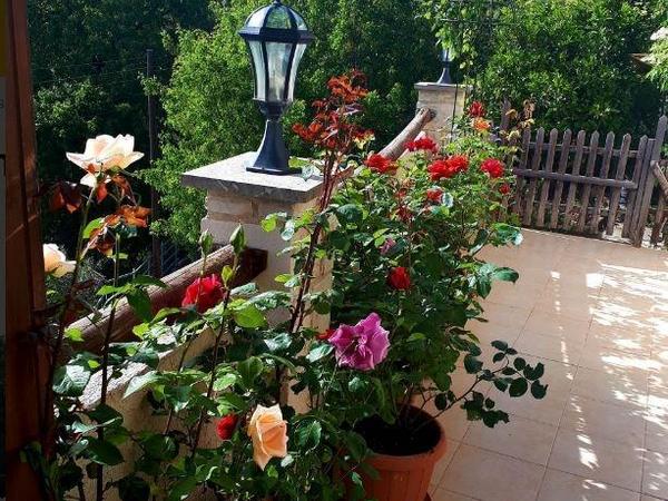 3 bedroom semi detached house for sale arsos lemesou limassol 1546986 image 9276576