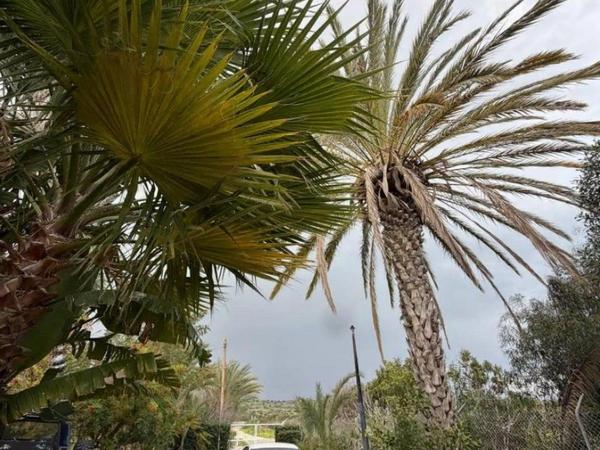 4 bedroom detached house for sale agios theodoros larnacas larnaca 8428986 image 14978713