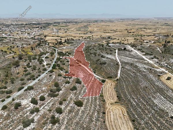 land for sale dali nicosia 8597986 image 15735787