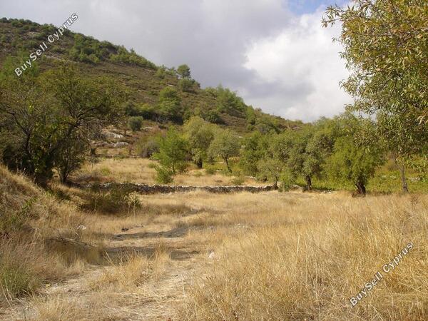 land for sale pera pedi limassol 926986 image 814119