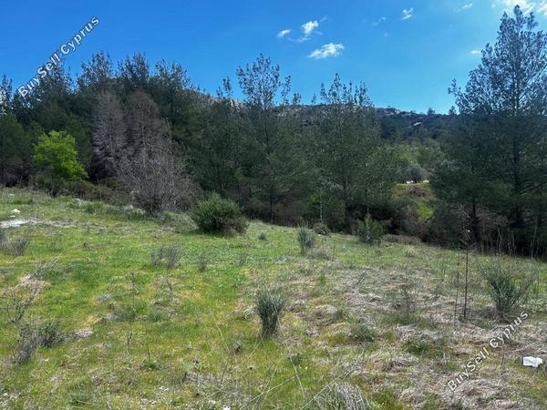 land for sale trimiklini limassol 1780986 image 5844794