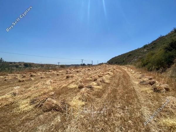 land for sale tsada paphos 8958986 image 17777175