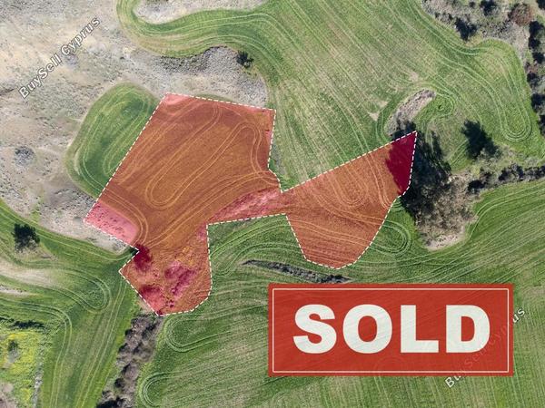 land sold klirou nicosia 1256986 image 6818769