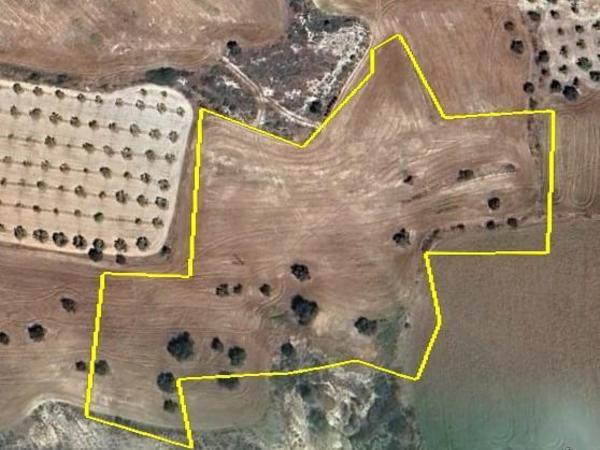 plot for sale anglisides larnaca 7799986 image 16004591