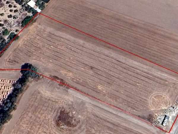 plot for sale geroskipou paphos 1680986 image 5168145