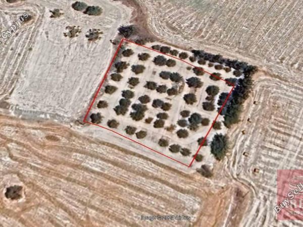 land for sale kalo chorio larnacas larnaca 1589096 image 13147794