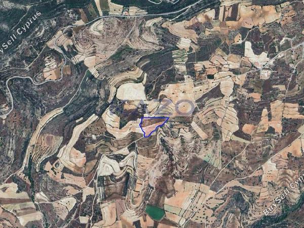 land for sale pachna limassol 7784096 image 10408800