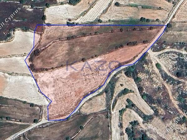 land for sale pachna limassol 7784096 image 10408804