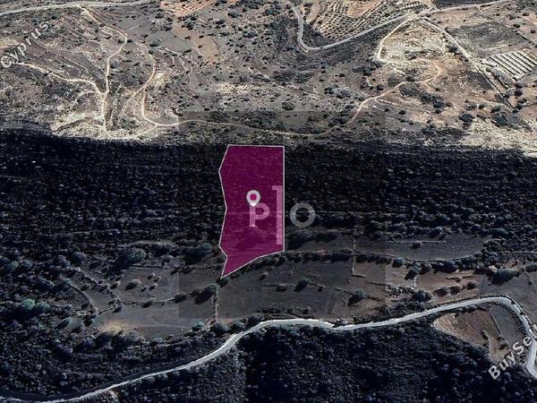 land for sale pachna limassol 8275096 image 15157475
