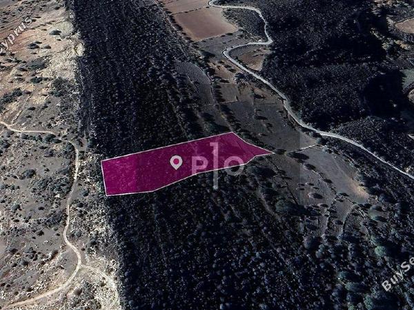 land for sale pachna limassol 8275096 image 15157478