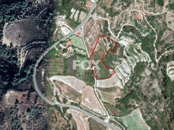 land for sale paphos municipality paphos 1159096 image 5517459