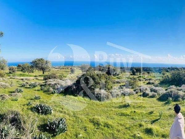 plot for sale pissouri limassol 7501096 image 9452851