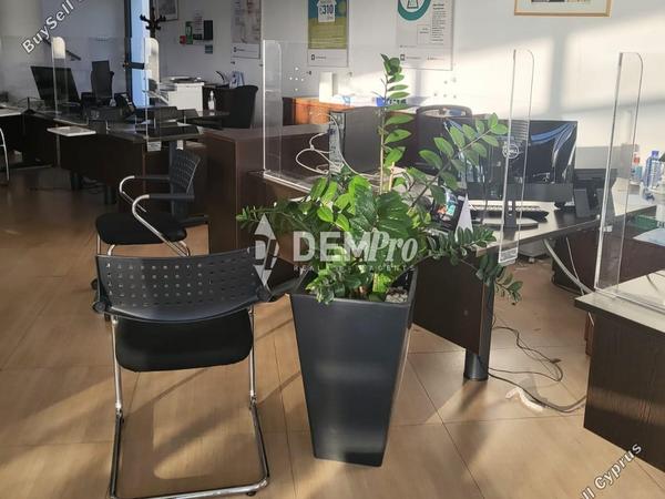 studio office for rent paphos municipality paphos 7813096 image 12702891
