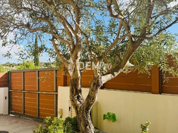 3 bedroom detached house for sale latsi paphos 7812196 image 12688419