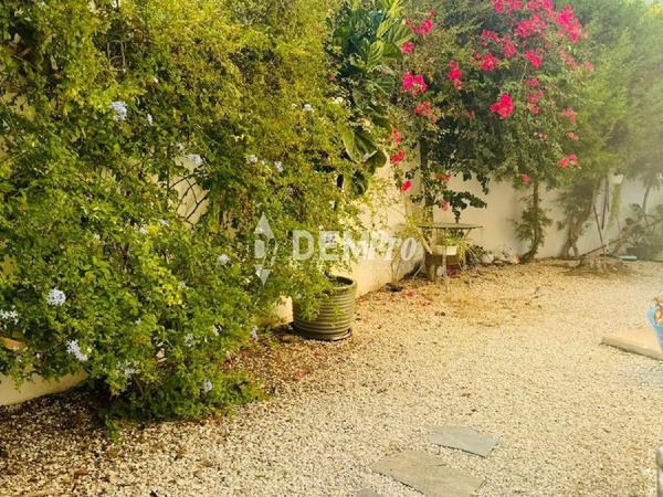 3 bedroom detached house for sale latsi paphos 7812196 image 12688428