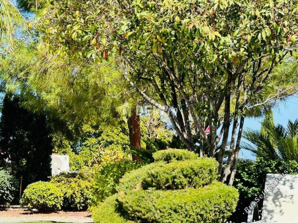 3 bedroom detached house for sale latsi paphos 7812196 image 12688442