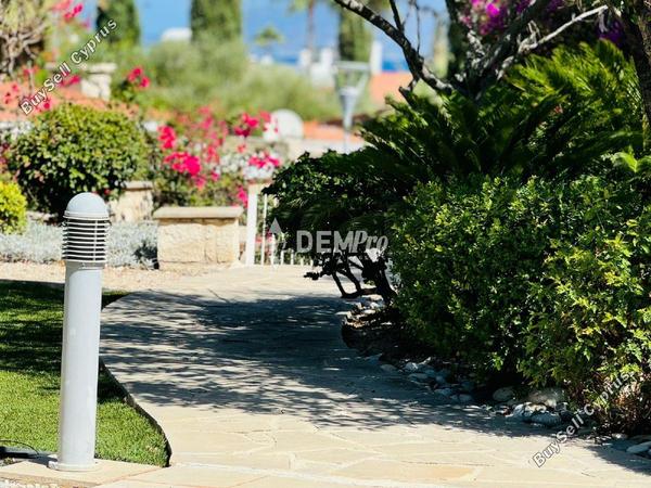 3 bedroom detached house for sale latsi paphos 7812196 image 12688446